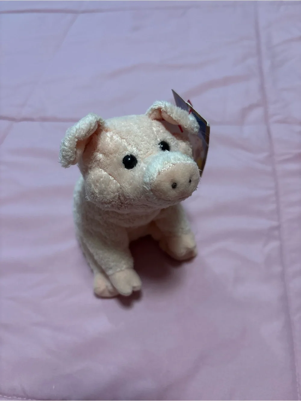 2006 Ty Beanie Baby Charlottes Web Wilbur the Pig Plush Toy 7